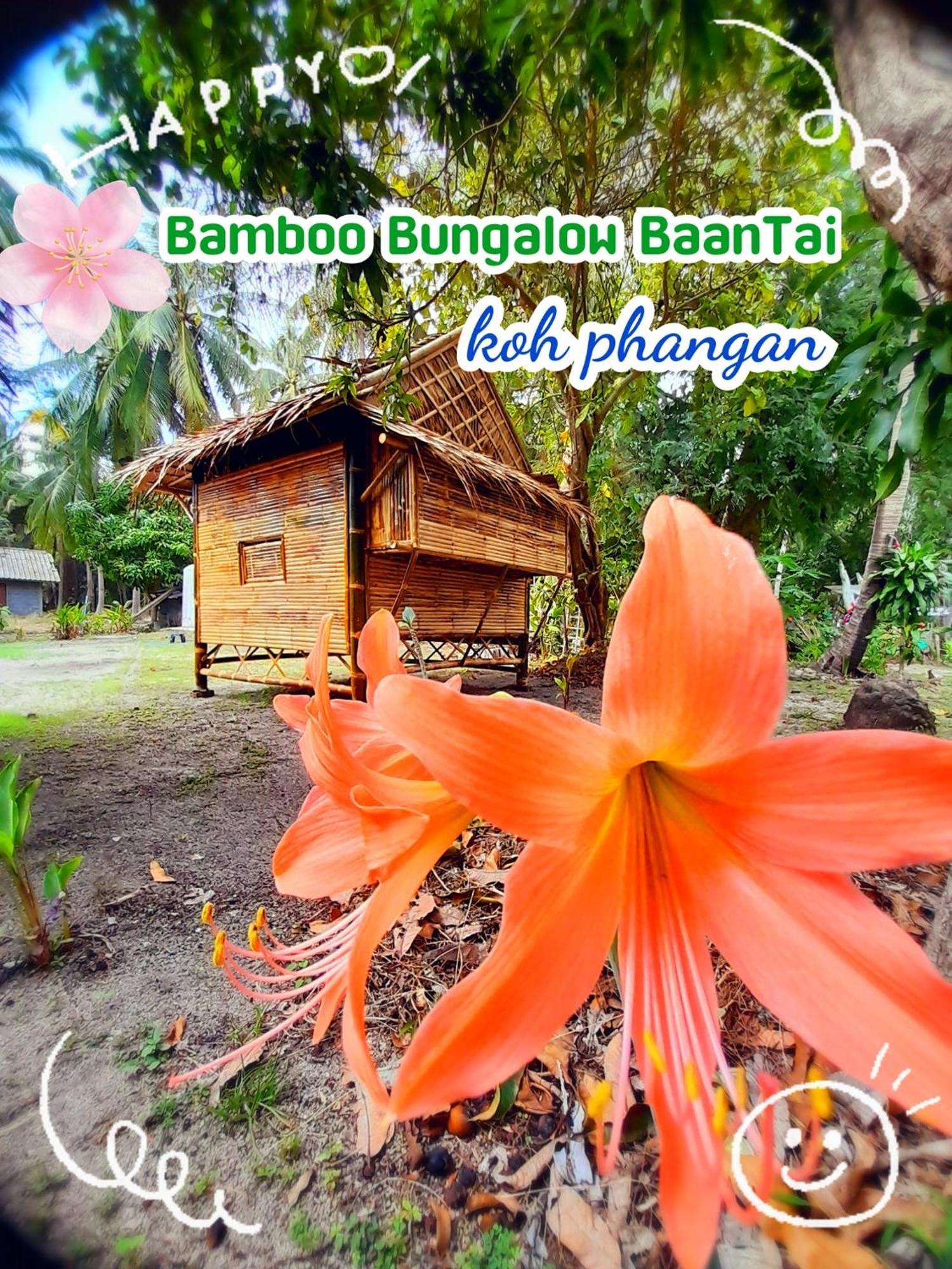 Bamboo Bungalow Baan Tai Phangan Extérieur photo